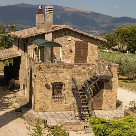 Country House Carmelita Limigiano Kültér fotó