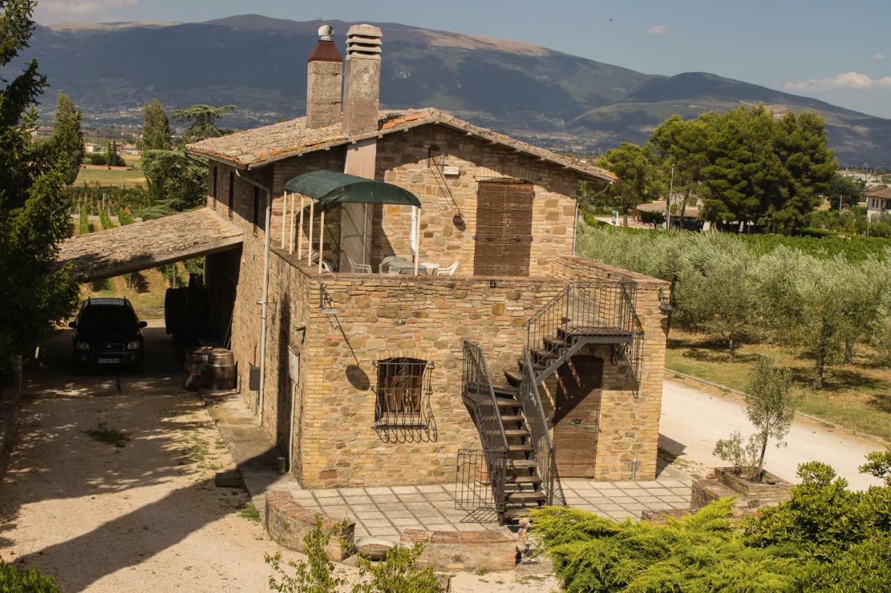 Country House Carmelita Limigiano Kültér fotó